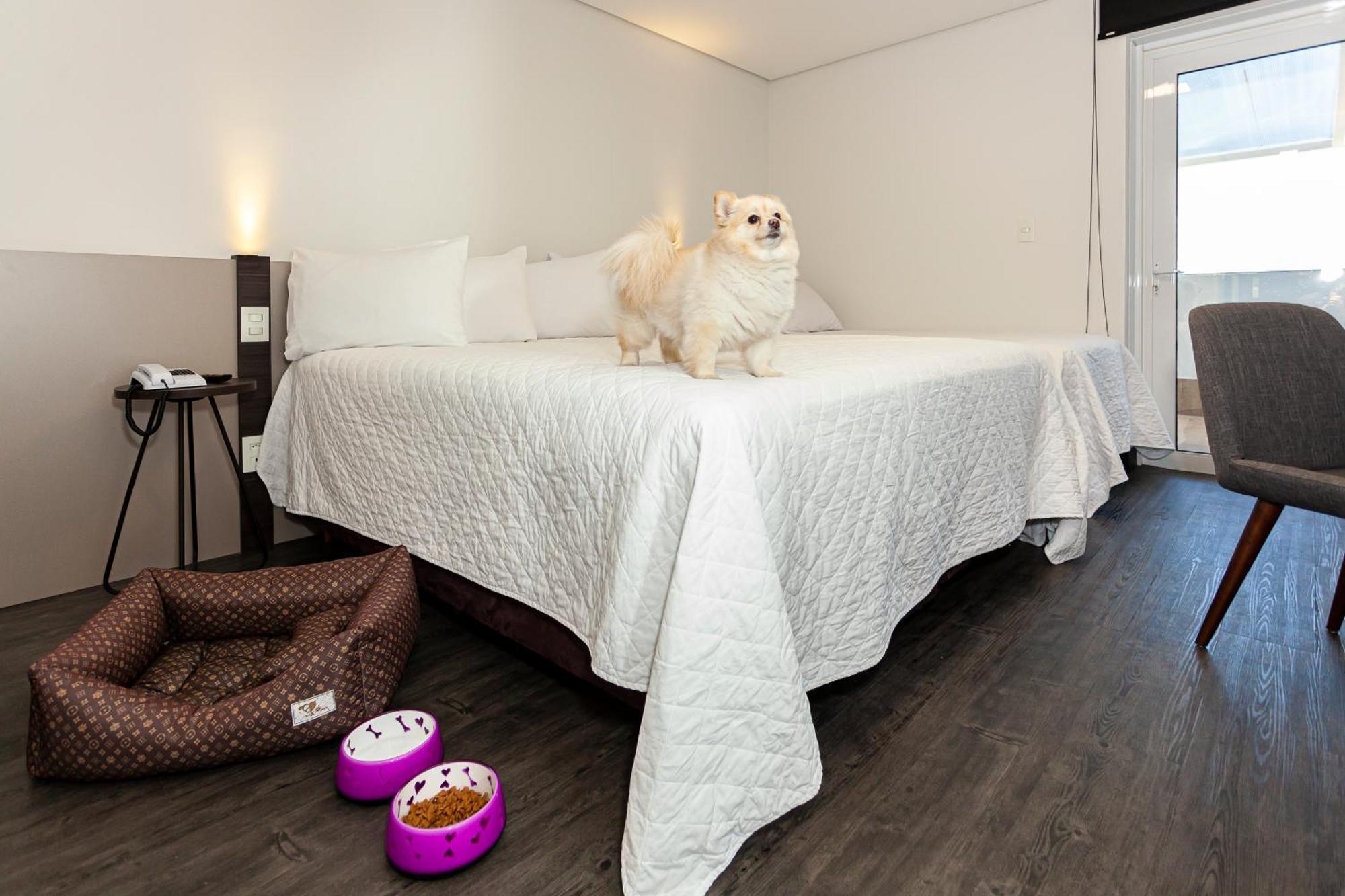 Travel Inn Hotels Caxias Do Sul Exterior photo